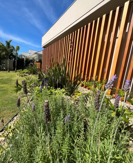 WhatsApp Image 2025-10-29 at 11.17.39 (3)