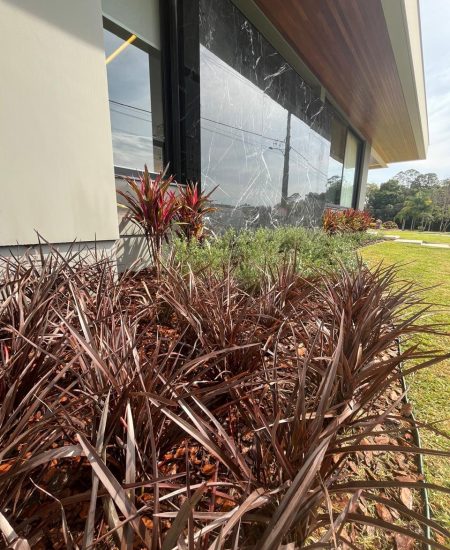 WhatsApp Image 2025-10-29 at 11.17.39